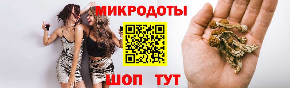 Находка  Галлюциногенные грибы MAGIC MUSHROOMS  Галлюциногенные грибы Magic Shrooms  купить наркотики сайты  Вход с VPN 